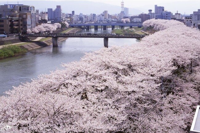 桜まつりの期間中は、食、体験、歴史、桜や福井にちなんだ様々な企画・催しが開催されます