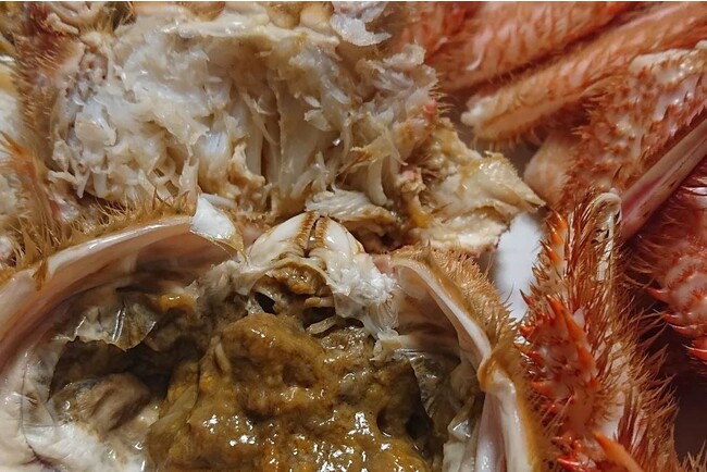 ふわっとほぐれる身と、コクのある濃厚なカニ味噌(写真提供:宮古観光文化交流会) ふわっとほぐれる身と、コクのある濃厚なカニ味噌(写真提供:宮古観光文化交流会)
