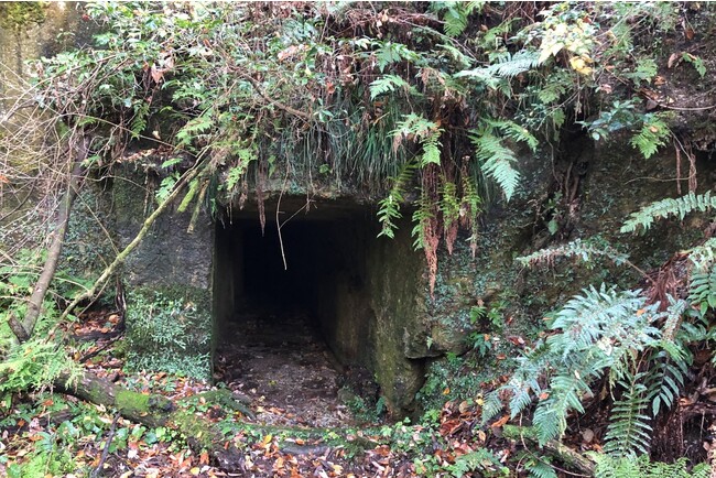 草木が生い茂る中にある洞窟のような坑道入口