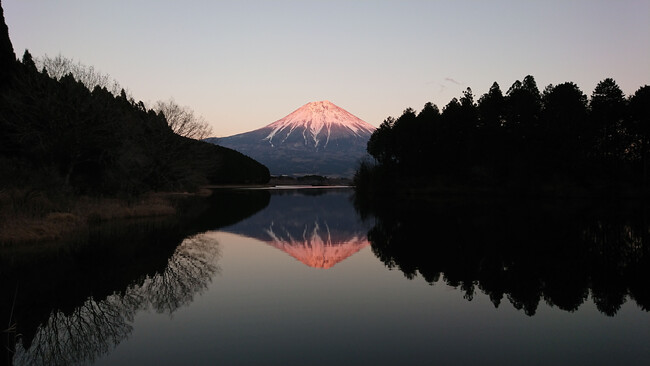 冠雪した富士山の山肌が日光で照らされ鮮やかに染まった「紅富士」