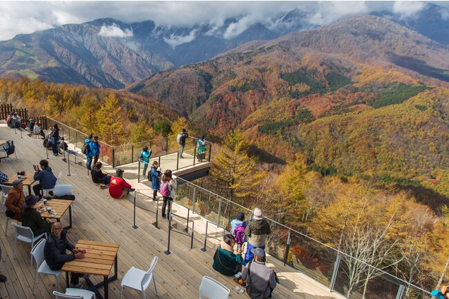 10月頃には「三段紅葉」が楽しめる