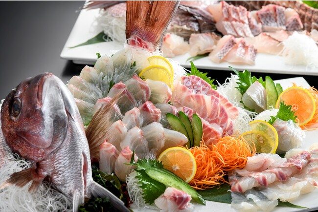 4~6月限定 鯛のお造り 4~6月限定 鯛のお造り