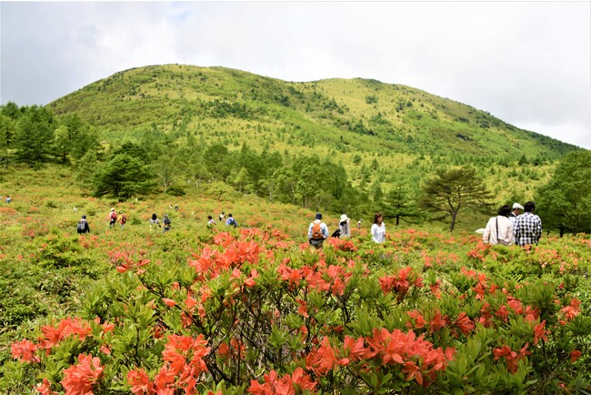 湯の丸高原ガイドウォーク 湯の丸高原ガイドウォーク