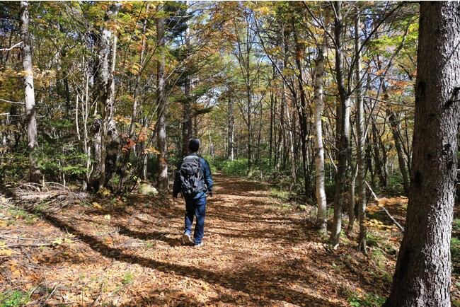 奈川紅葉トレッキング