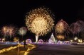 今年で10周年!「KOIWAI Winter Lights 銀河農場の夜2023」は11月18日(土)スタート 10周年を記念した新しい10のイベントも登場!