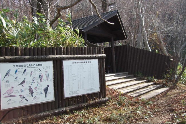 野鳥観察舎には、この森で出会うことができる 野鳥についての解説板が設置されており、ここに生息する野鳥について知ることができます