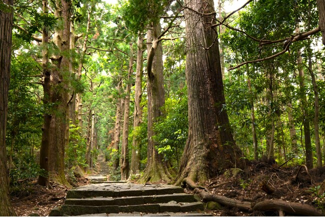 休暇村南紀勝浦、「紀伊山地の霊場と参詣道」世界遺産２０周年を記念