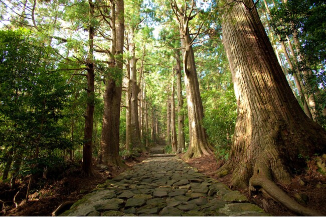 熊野古道　大門坂