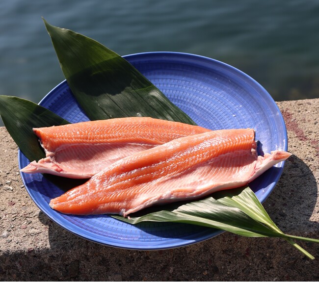 淡路島の春に登場するブランド食材「淡路島サクラマス」