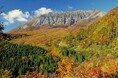 西日本最大級のブナの原生林が黄葉シーズンを迎えます 鳥取県鍵掛峠(かぎかけとうげ)は標高約910mに位置する極上の指定席 大山でも屈指の絶景ポイントとして人気です
