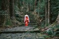 世界遺産の聖地“熊野の那智” 那智勝浦観光機構では、登録20周年を記念した特別ツアー「熊野那智詣2024」を11月30日と12月7日の2日間限りで開催 熊野の地の祈る、歩く、学ぶ、食べるを体験します