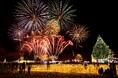 東北最大級のイルミネーションイベント 小岩井農場「KOIWAI Winter Lights 銀河農場の夜2024」は11月23日から開催
