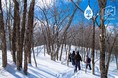 白銀の世界に衣替えした日光国立公園をスノーシューでハイキング　登山グッズレンタルショップ「モリノネ」、ウィンターシーズンがスタート