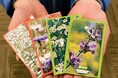 妙高戸隠連山国立公園10周年記念 種を育てて花を咲かせよう!休暇村妙高では「花咲かそうInstagram 自然にときめく 花の環キャンペーン」を5月1日より実施