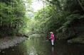 かつてのホタルの乱舞が復活なるか!?埼玉県飯能市「吾野地区ホタル再生プロジェクト」休暇村奥武蔵では「〇〇ホタルと名付けようキャンペーン」を6月4日より実施
