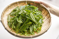 今日は「狭山茶の日」。地元・埼玉の素晴らしさを自信をもって伝えます! 日本に注目が集まる今、「狭山茶」を宿泊者にPR 休暇村奥武蔵では、「狭山茶摘み体験付宿泊プラン」を7月1日より販売