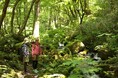 休暇村奥大山では、標高920mの高原で“足水”など涼やかな名水体験を満喫 ご夕食には名水が引き出す鳥取の夏の味 「夏休み限定だいせんサマービュッフェ」プランを7月25日から販売開始