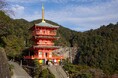 和歌山県・休暇村南紀勝浦では、人気のオリジナルツアー「世界遺産ウォーク熊野古道大門坂」付きの宿泊プランを10月1日より販売 ~ご夕食は南紀名産のまぐろと和歌山の秋冬の味覚くえを一緒に味わえる会席~