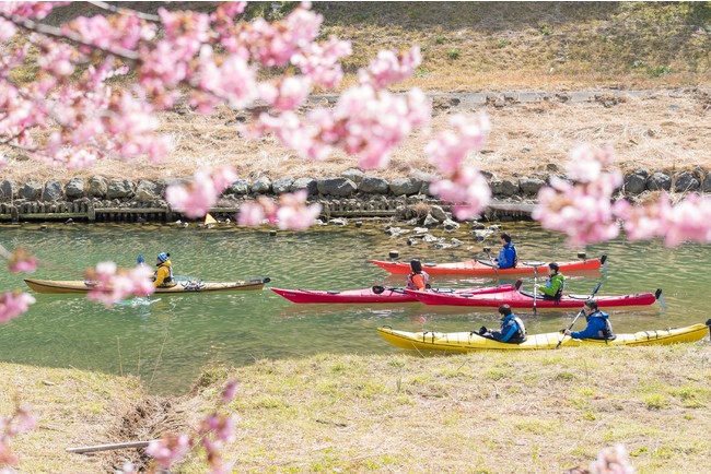 川に浮かびながら桜を眺める贅沢