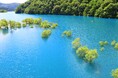 乳頭温泉郷に遅い春の訪れ…　雪解けの季節、秋扇湖の水没林が現れます　新緑の乳頭温泉郷で、新緑の中 湯めぐりをお楽しみください　～休暇村乳頭温泉郷～
