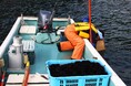 岩手県宮古市で6月からウニ漁が解禁　休暇村陸中宮古では、「三陸ウニざんまい会席」を6月1日より販売開始　～“口開け”が告げる三陸の夏～