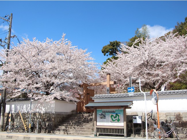 新宮城址公園