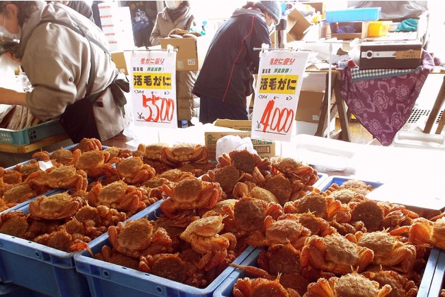 「宮古毛ガニまつり」は旬の毛ガニが特別価格で買える人気のイベント