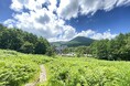 残暑厳しい９月　東京の日平均気温は26．5℃でも嬬恋村では18．1℃　休暇村嬬恋鹿沢では9月限定で通常よりお得に宿泊できる避暑旅プランを販売（1日5部屋限定）