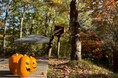 嬬恋村の紅葉は10月中旬からが見頃　休暇村嬬恋鹿沢の鹿沢園地で、「おいしい」と「たのしい」が集まるマルシェ「くるまる、ほくほく。」が10月23日、24日の2日間開催