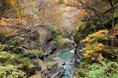 休暇村嬬恋鹿沢では、「秋彩の吾妻峡・八ッ場ダムと日本のポンペイの歴史と復興を巡るツアー」付き宿泊プランを日にち限定で販売　～紅葉の絶景と、地域に受け継がれる歴史を一度に楽しむ特別な旅へご案内します～