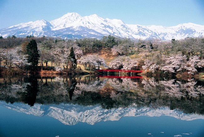 松ケ峯池に映る満開の桜と妙高山の「跳ね馬」 松ケ峯池に映る満開の桜と妙高山の「跳ね馬」
