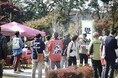 【11月22日(土)開催】クルラー富士おやまが企画・運営する「豊門公園もみじまつり」。地域の想いが詰まった地元農業生まれの「おやま金太郎なべ」が新登場！