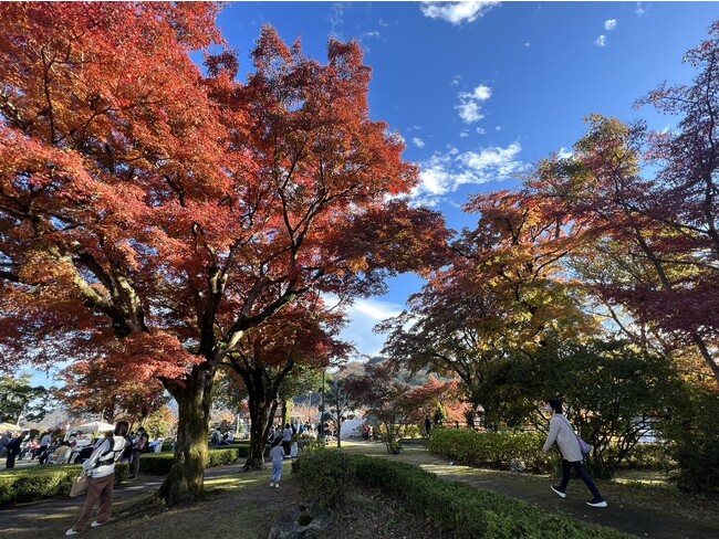 豊門公園から見える景色 豊門公園から見える景色