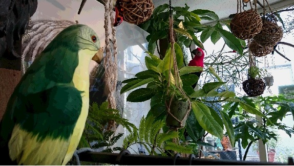 株式会社スパイスは 原宿abbot Kinney Japan にて Spice Botanical Shop の展開をします 原宿神宮前のグリーン コミュニケーション スポットに 株式会社スパイスのプレスリリース