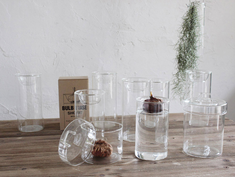 冬の乾燥対策に 球根を育ててみませんか 球根を水栽培できるスタイリッシュ なガラス花瓶 Bulb Vase 販売開始 株式会社スパイスのプレスリリース