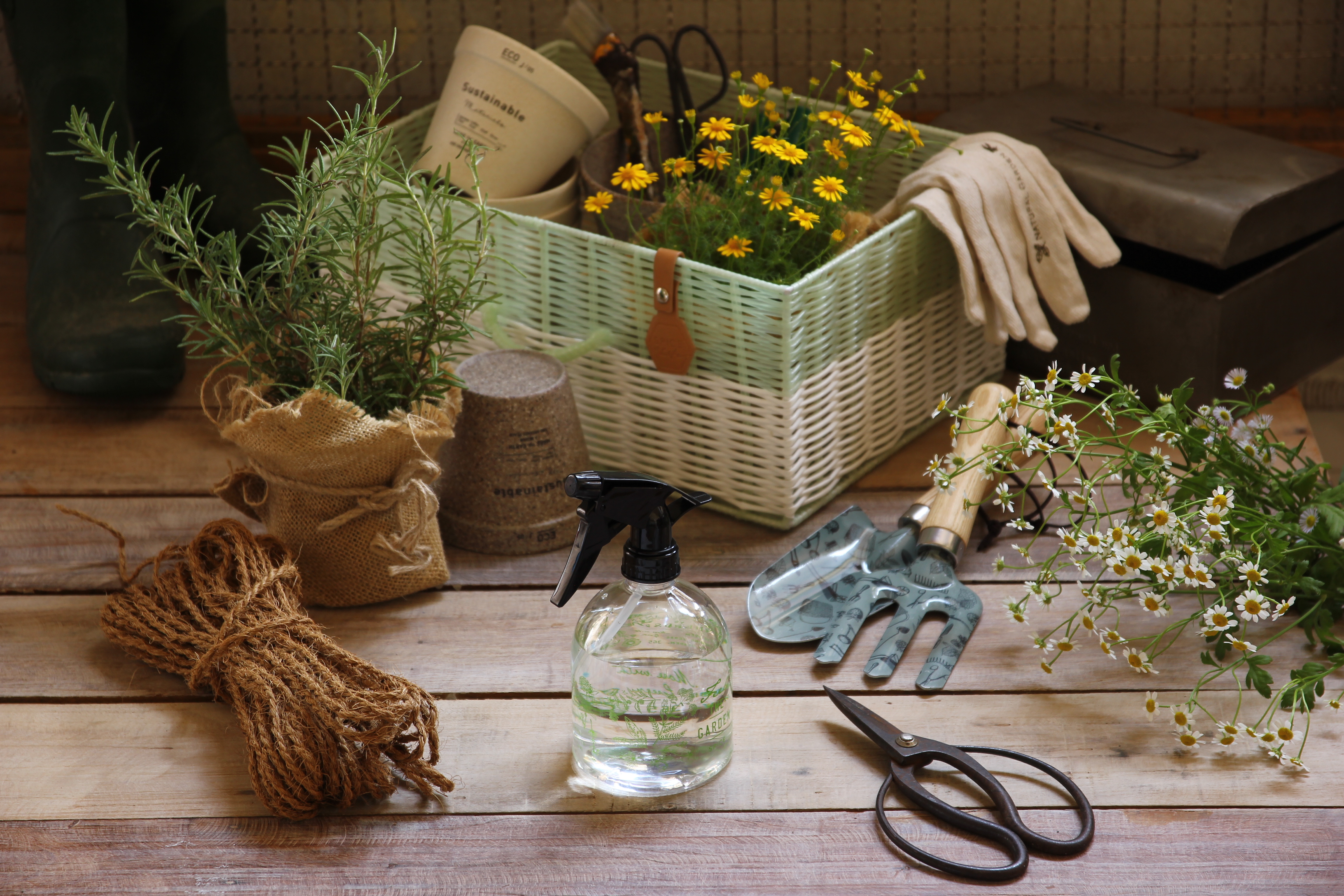 365日 花と緑のある丁寧な暮らしに 毎日の水やりが楽しくなる花図鑑 のようなアンティーク柄の霧吹き スプレーボトル 全4種発売 株式会社スパイスのプレスリリース
