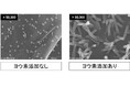 小林製薬のヨウ素研究が日本防菌防黴学会「論文賞」を受賞。短時間でのヨウ素の作用で新型コロナ等のウイルスが不活化