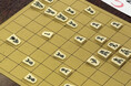盤上で繰り広げられた熱戦。第31回「嬉野温泉和多屋祭り将棋大会」を開催