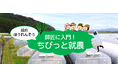 《福井県福井市》交通費・宿泊費助成あり!特産「越前ほうれんそう」の栽培を”ちびっと”体験してみませんか♪『10/17開催の就農体験』参加者募集中!