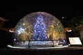 リサイクルガラス、蓄光石で輝くツリー「ITOCHU SDGs STUDIO DOME」第七弾「森のクリスマス」ウィンターイルミネーション