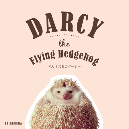 「ハリネズミのダーシー　DARCY the Flying Hedgehog」表紙画像