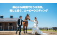 馬と共に過ごす結婚記念!競馬ファンの夢が現実に