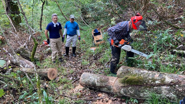 登山道に横たわる倒木の撤去作業