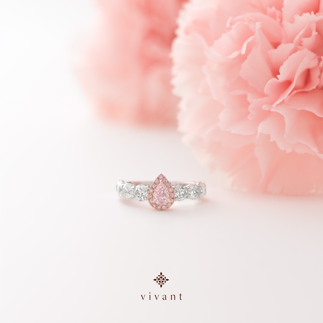 Vivant初の常設店 青山チェルシーインターナショナルグランドオープン 株式会社micoのプレスリリース