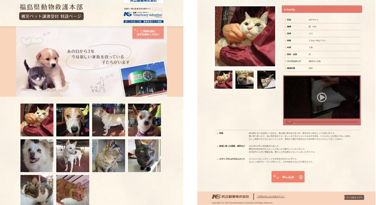 共立製薬が里親マッチングサイト Veterinary Adoption ベテリナリーアドプション 内に 福島県動物救護本部 被災ペット譲渡受付特設ページ を設立 共立製薬株式会社のプレスリリース