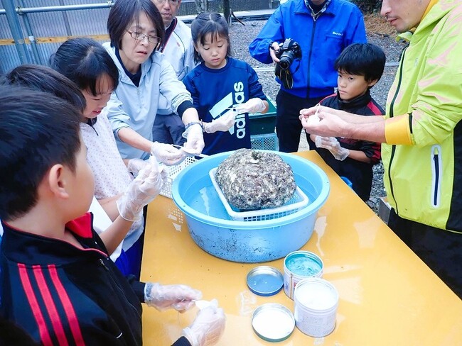 珊瑚の移植をする子どもたち(地域での取り組みの例より) 珊瑚の移植をする子どもたち(地域での取り組みの例より)