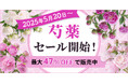【MAX47%OFF】芍薬SALEを2025年5月20日~開催!|花の卸通販フラワースミスマーケット