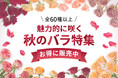 【全60種以上】秋バラ特集を9月16日~開始!|花の卸通販フラワースミスマーケット