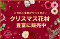 リース・スワッグ作りに欠かせない花材を厳選！クリスマス花材特集を11月10日～スタート｜花の卸通販フラワースミスマーケット