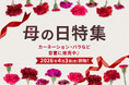 【母の日花材販売開始！】カーネーション・バラなど人気花材を小ロットから仕入れ可能｜花の卸通販フラワースミスマーケット